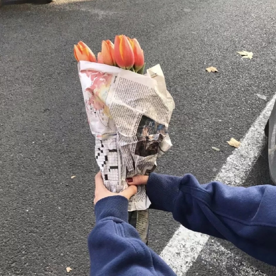 乌鸦爱上写字台